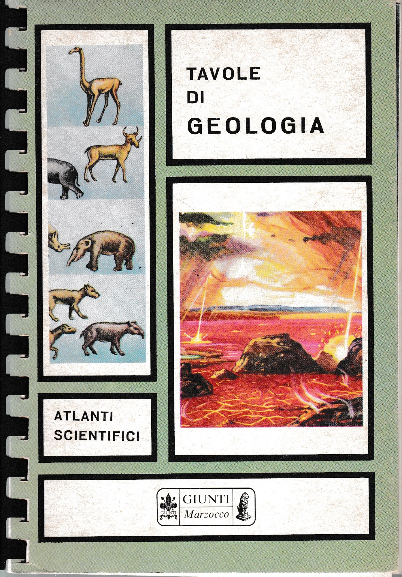 Tavole di Geologia.