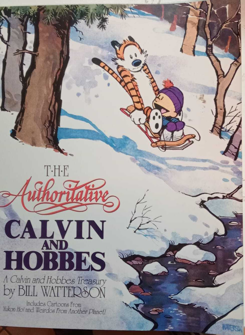 The Authoritative Calvin and Hobbes.