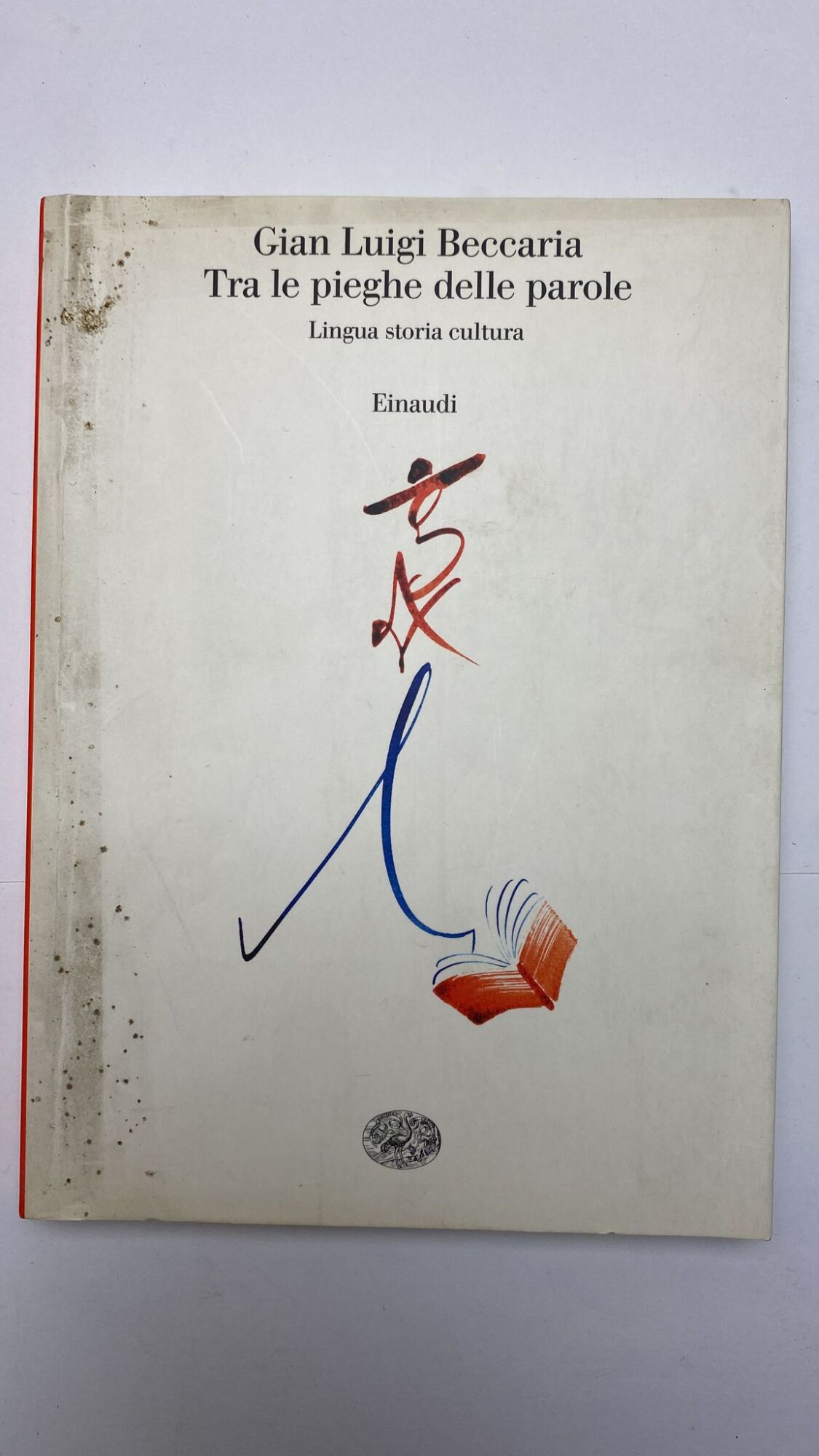 Tra le pieghe delle parole : lingua, storia, cultura