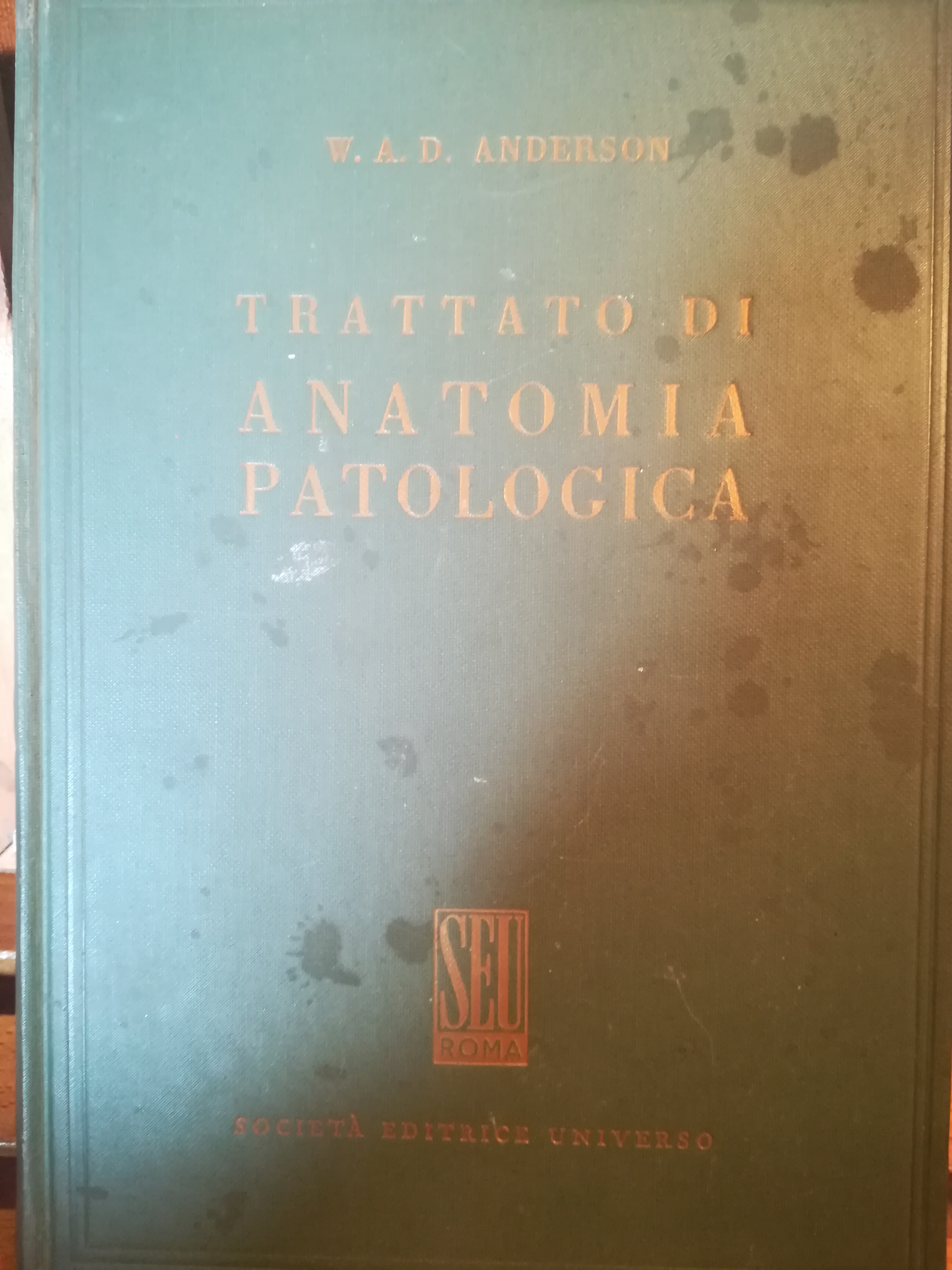 Trattato di anatomia patologica. III.