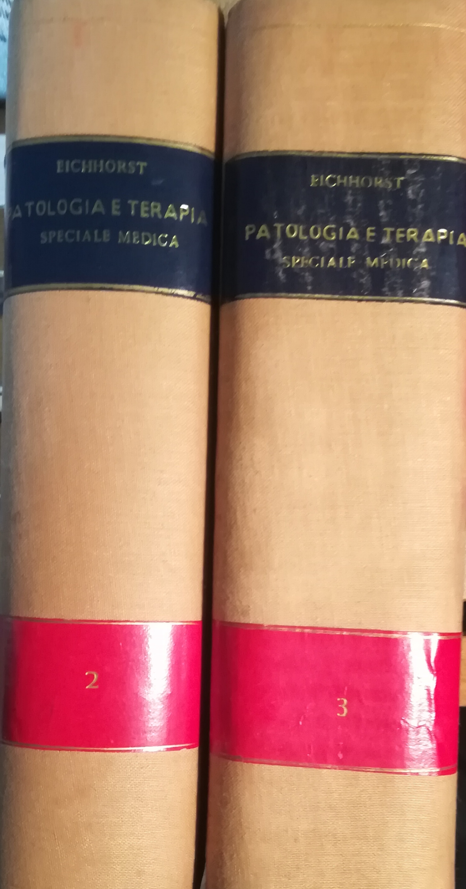 Trattato di patologia e terapia speciale medica. II. III.
