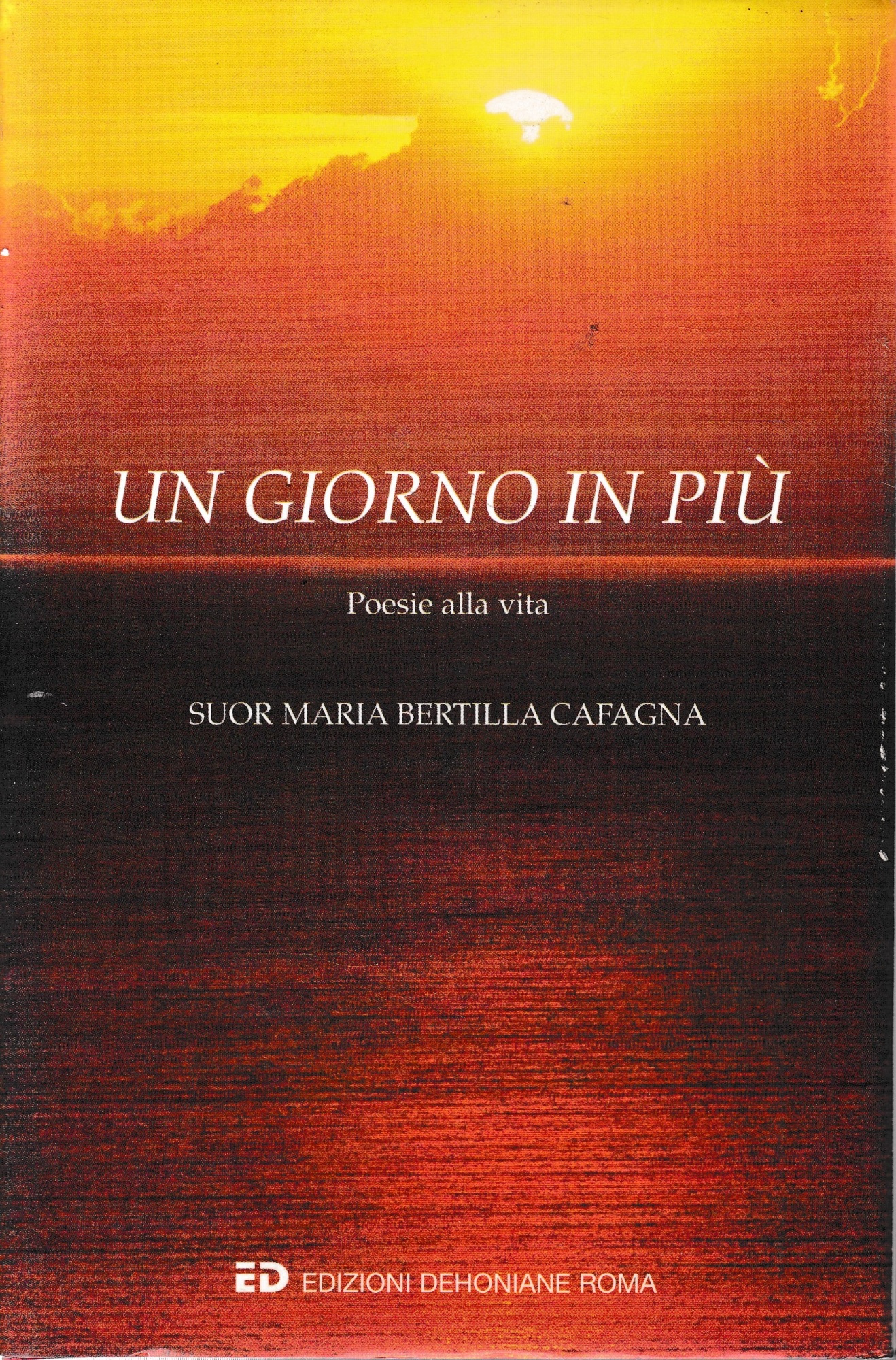 Un giorno in più. Poesie alla vita.