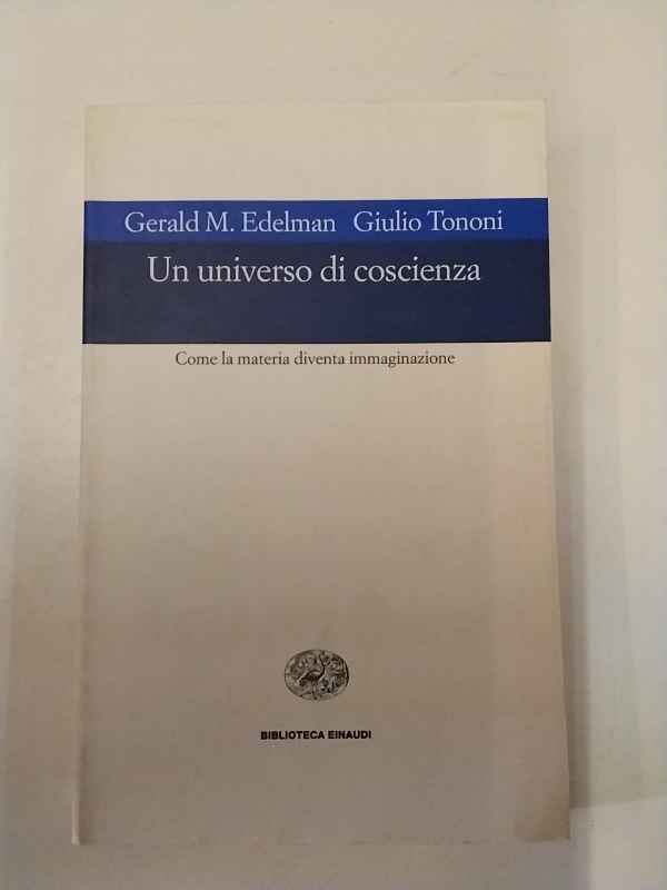 Un universo di coscienza. Come la materia diventa immaginazione.