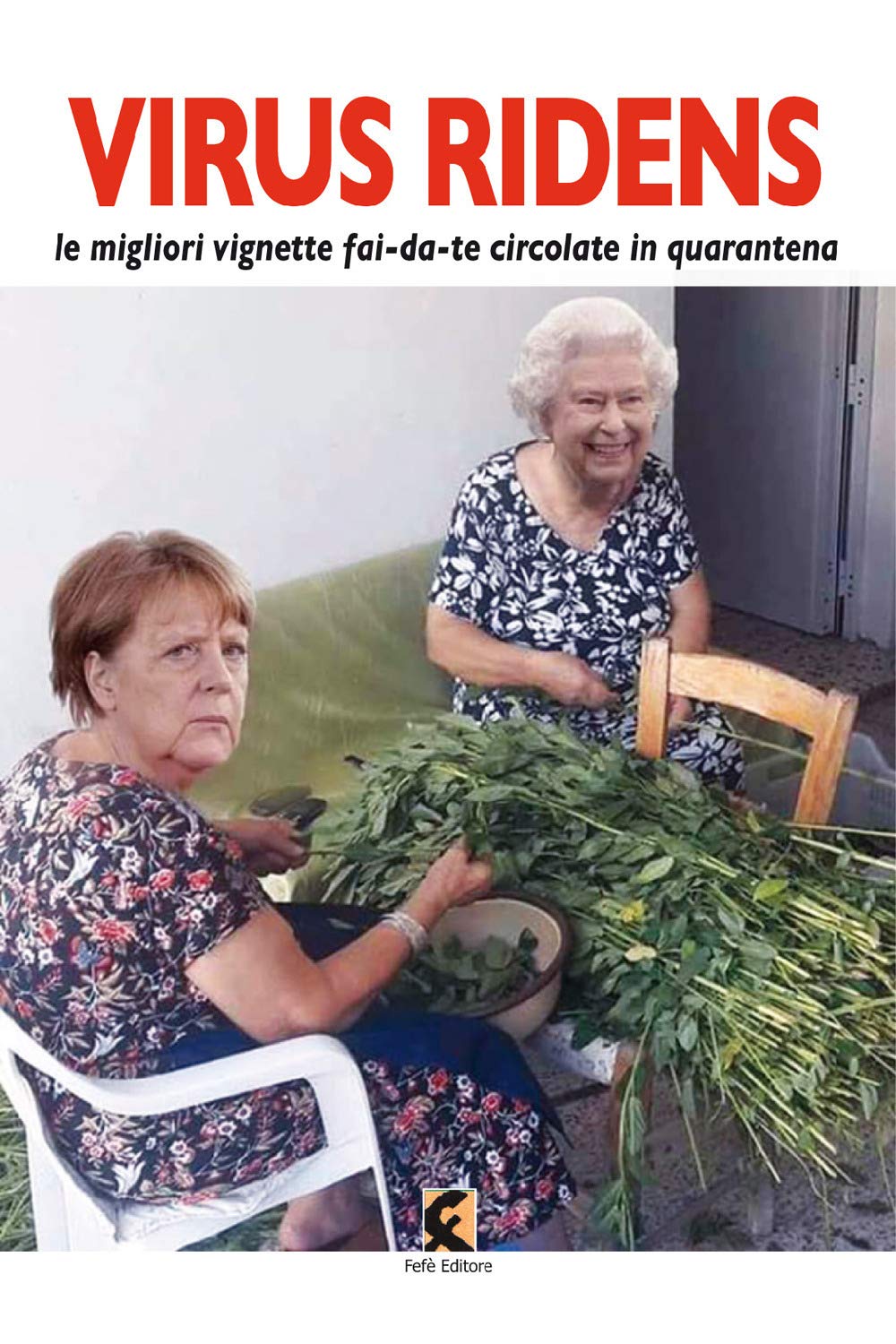Virus ridens. Le migliori vignette fai-da-te circolate in quarantena. Ediz. …