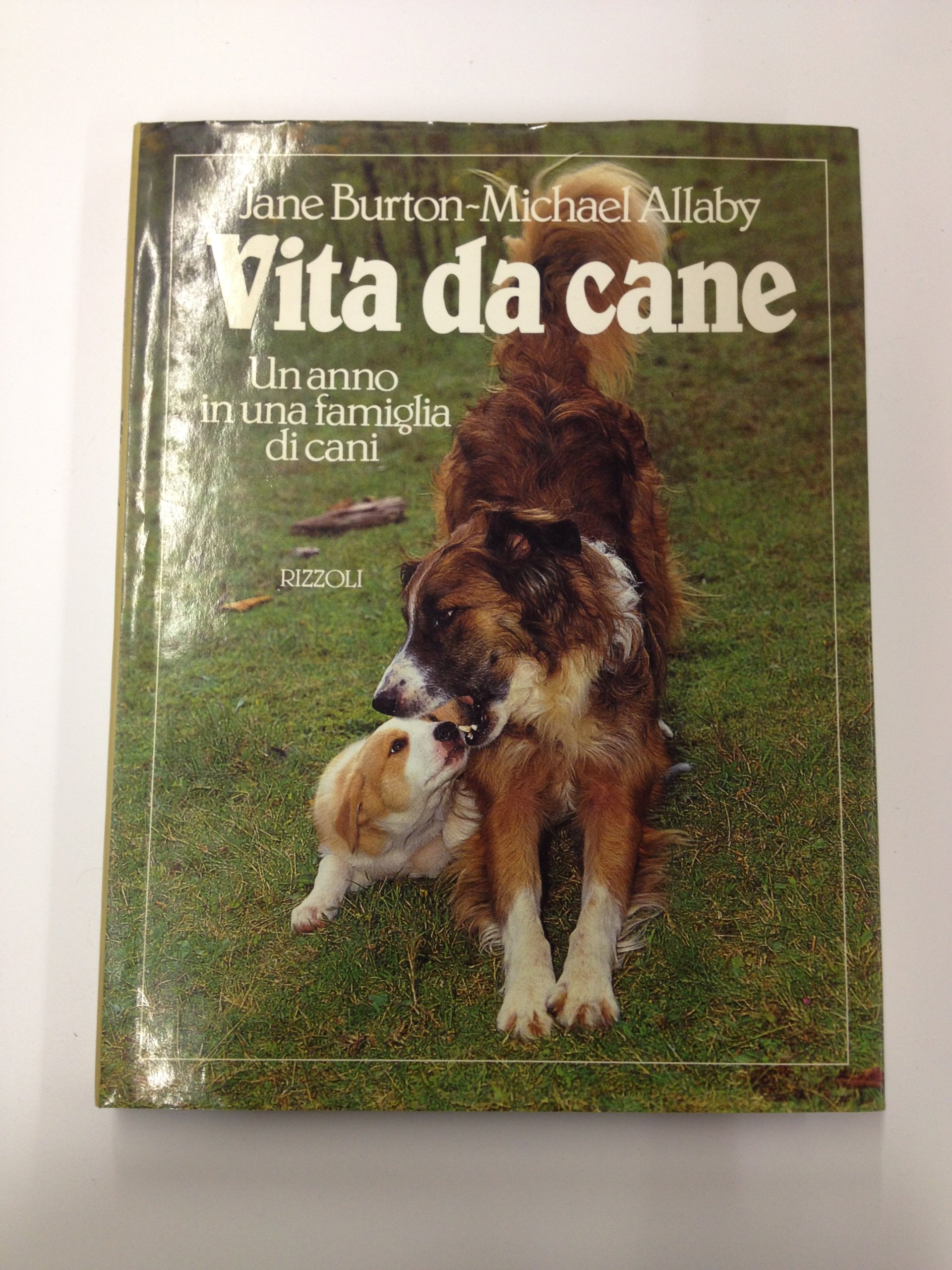 Vita da cane.