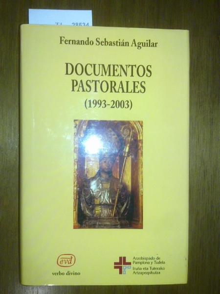 DOCUMENTOS PASTORALES (1993 - 2003)