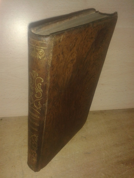 GRAMATICA, TEORICA Y PRACTICA PARA APRENDER EL IDIOMA FRANCES por …