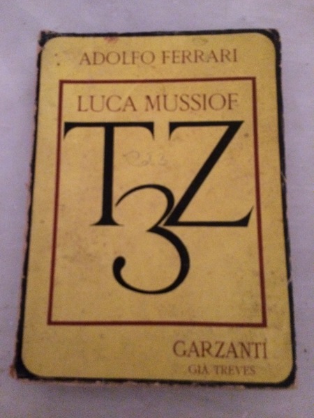 Luca Mussiof TZ3.