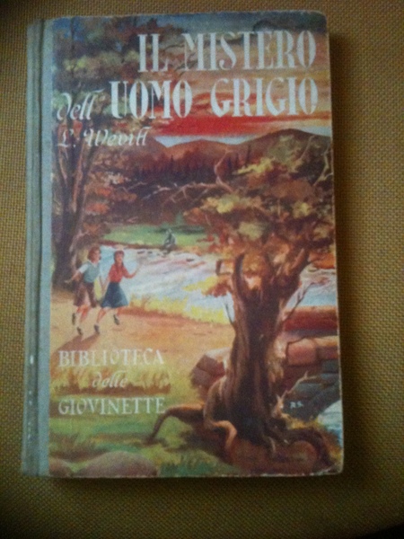 Il mistero dell'uomo grigio