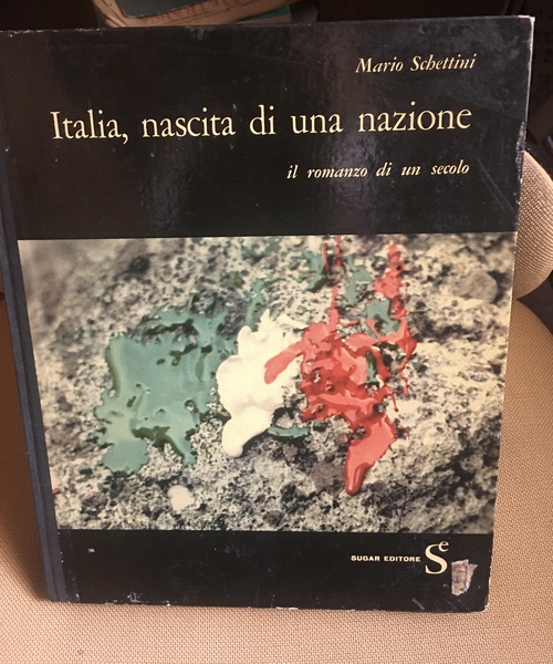 Italia, nascita di una nazione. Il romanzo di un secolo.