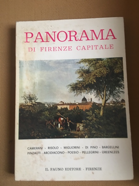 Panorama di Firenze capitale.