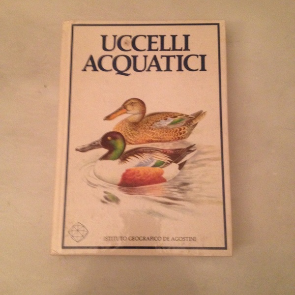 Uccelli acquatici.