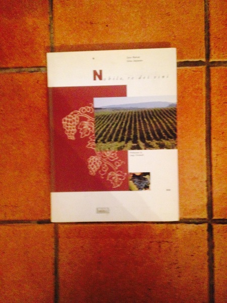 Nobile re dei vini. Pref di Luigi Veronelli.