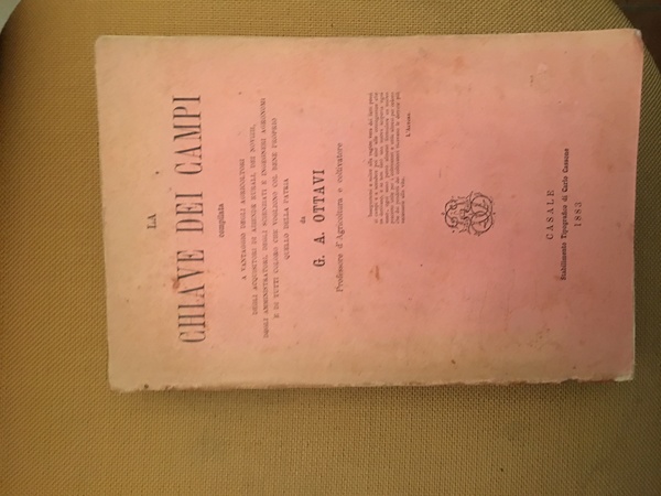 La chiave dei campi