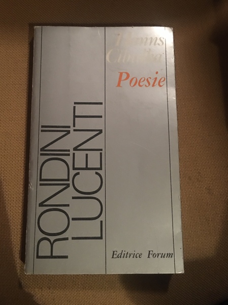 Rondini lucenti poesie.