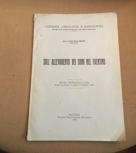 Sull'allevamento dei suini nel faentino.
