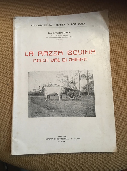La razza bovina della Val di Chiana.