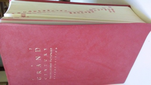 The grand century English Japanese Dictionary