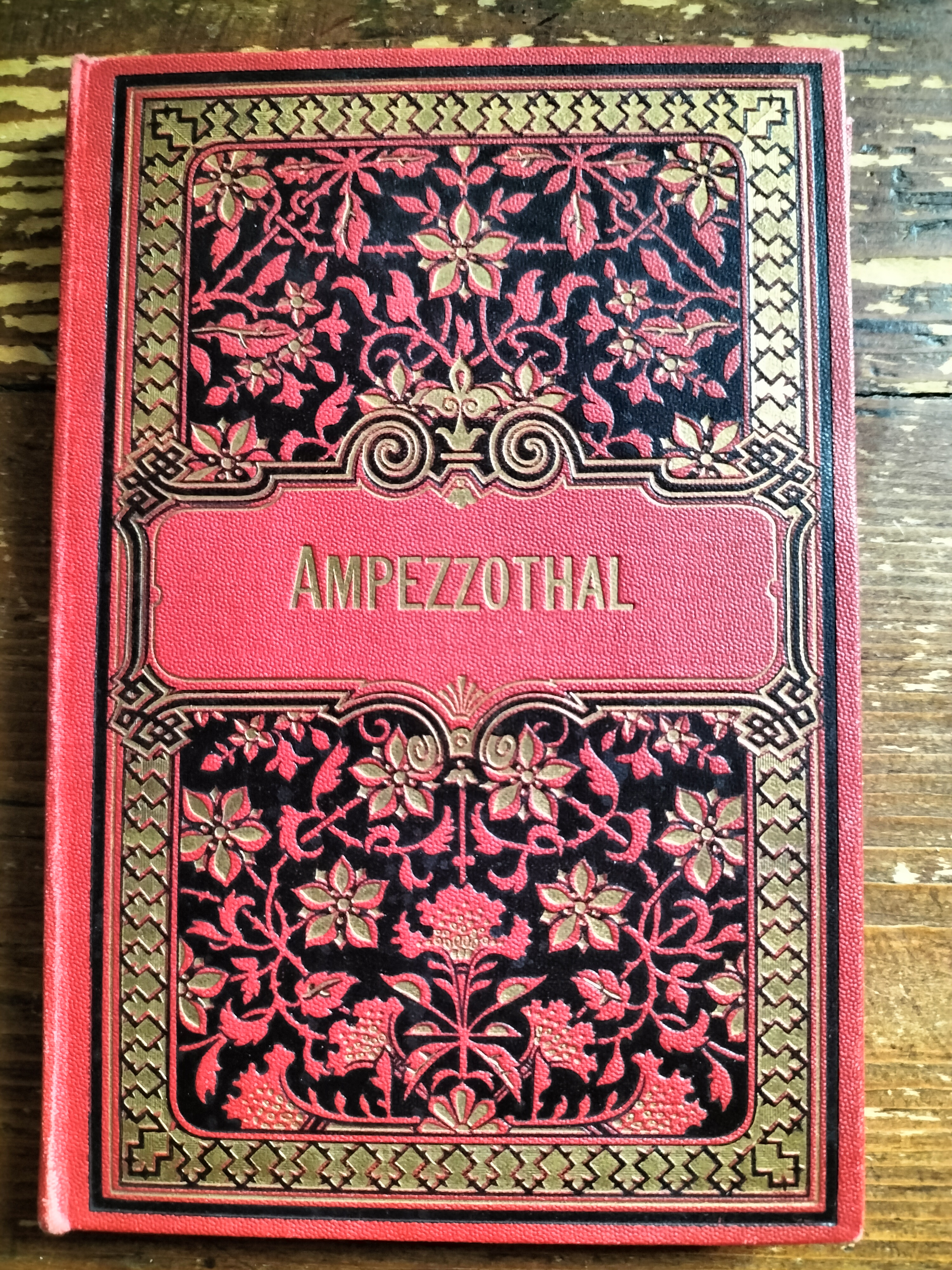 AMPEZZOTHAL Album fotografico fine '800 STENGEL & CO. Dresden 12 …