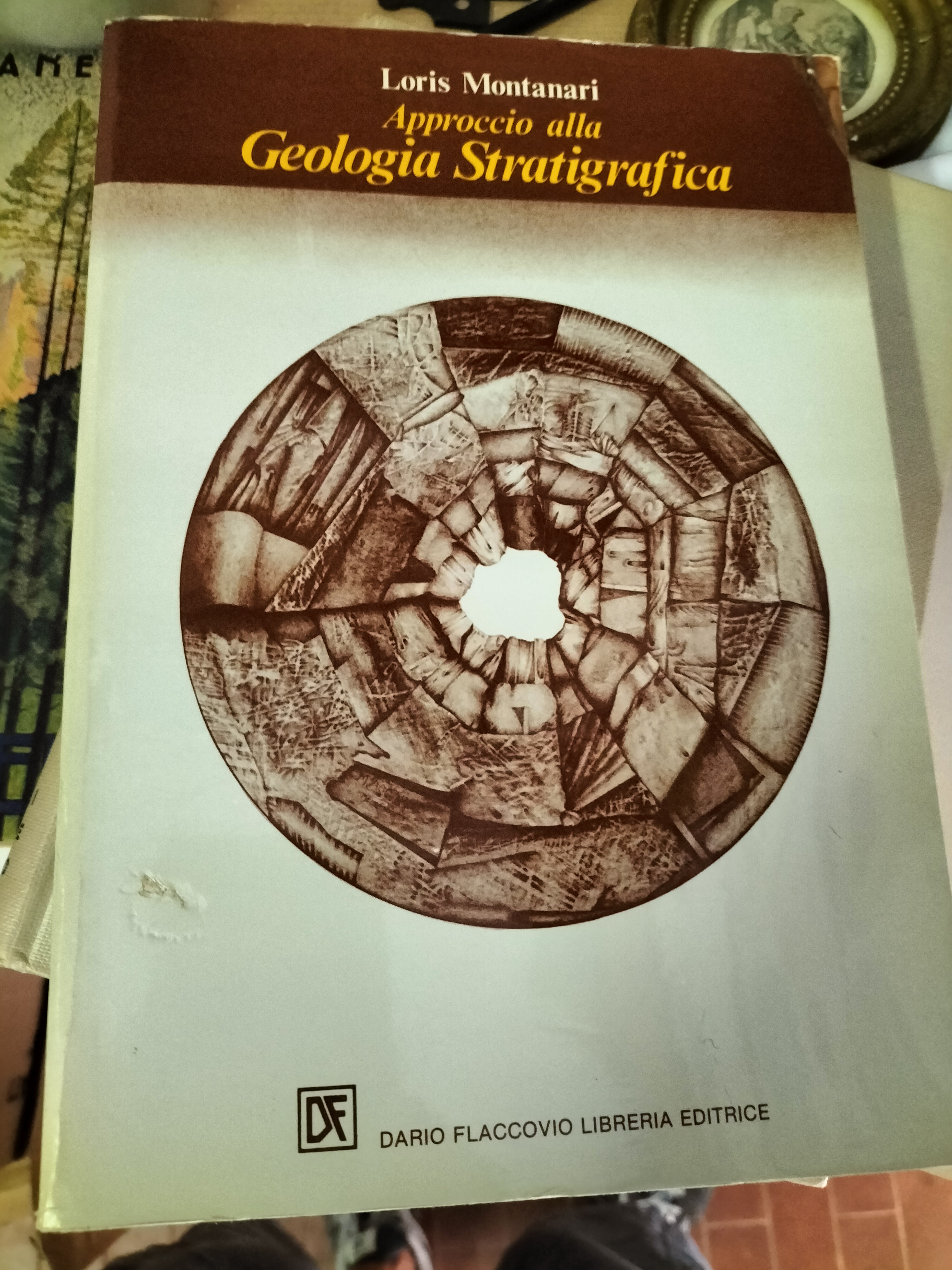 Approccio alla Geologia STRATIGRAFICA Dario Flaccovio Libreria