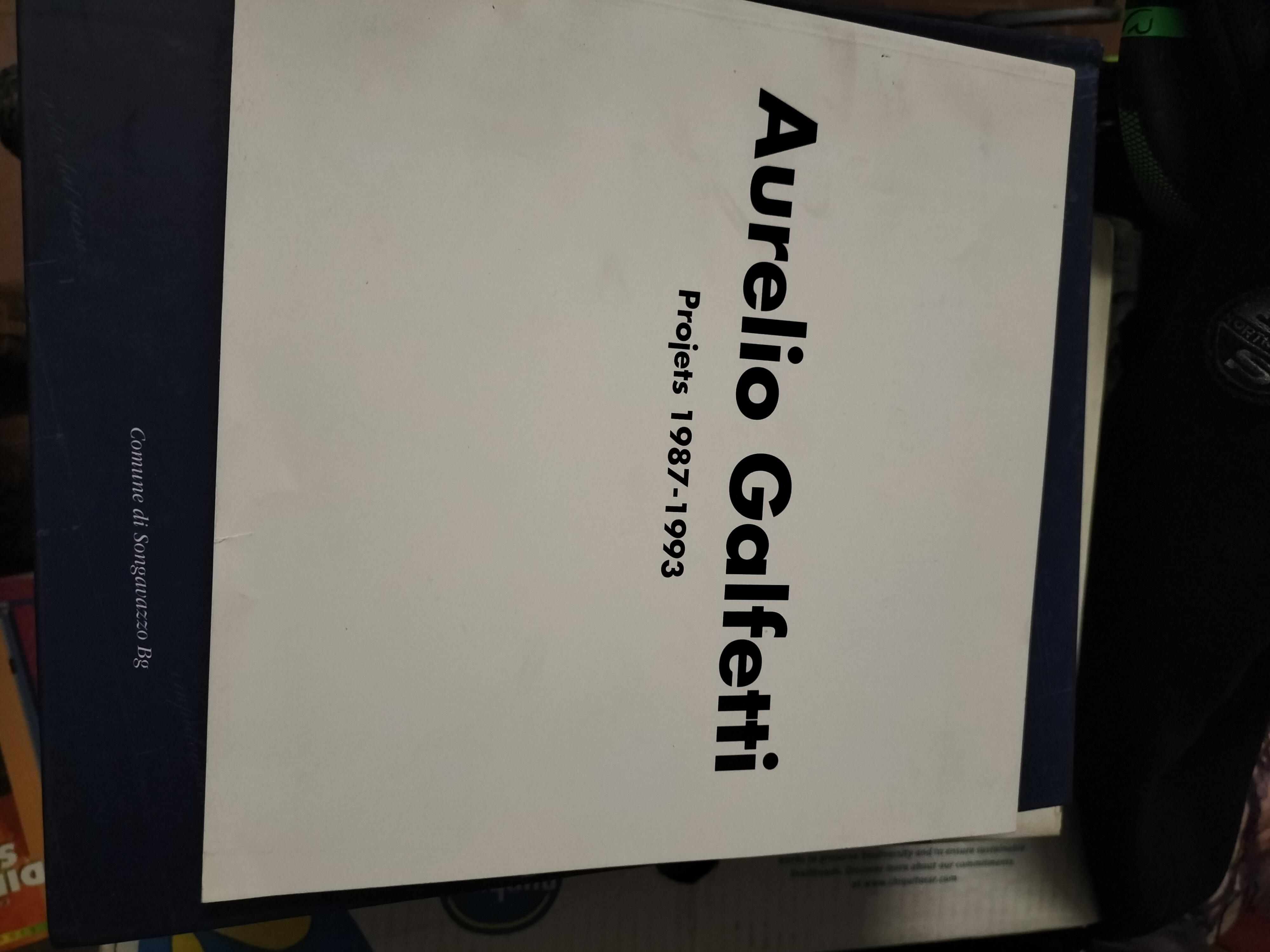 Aurelio Galfetti Projets 1987-1993