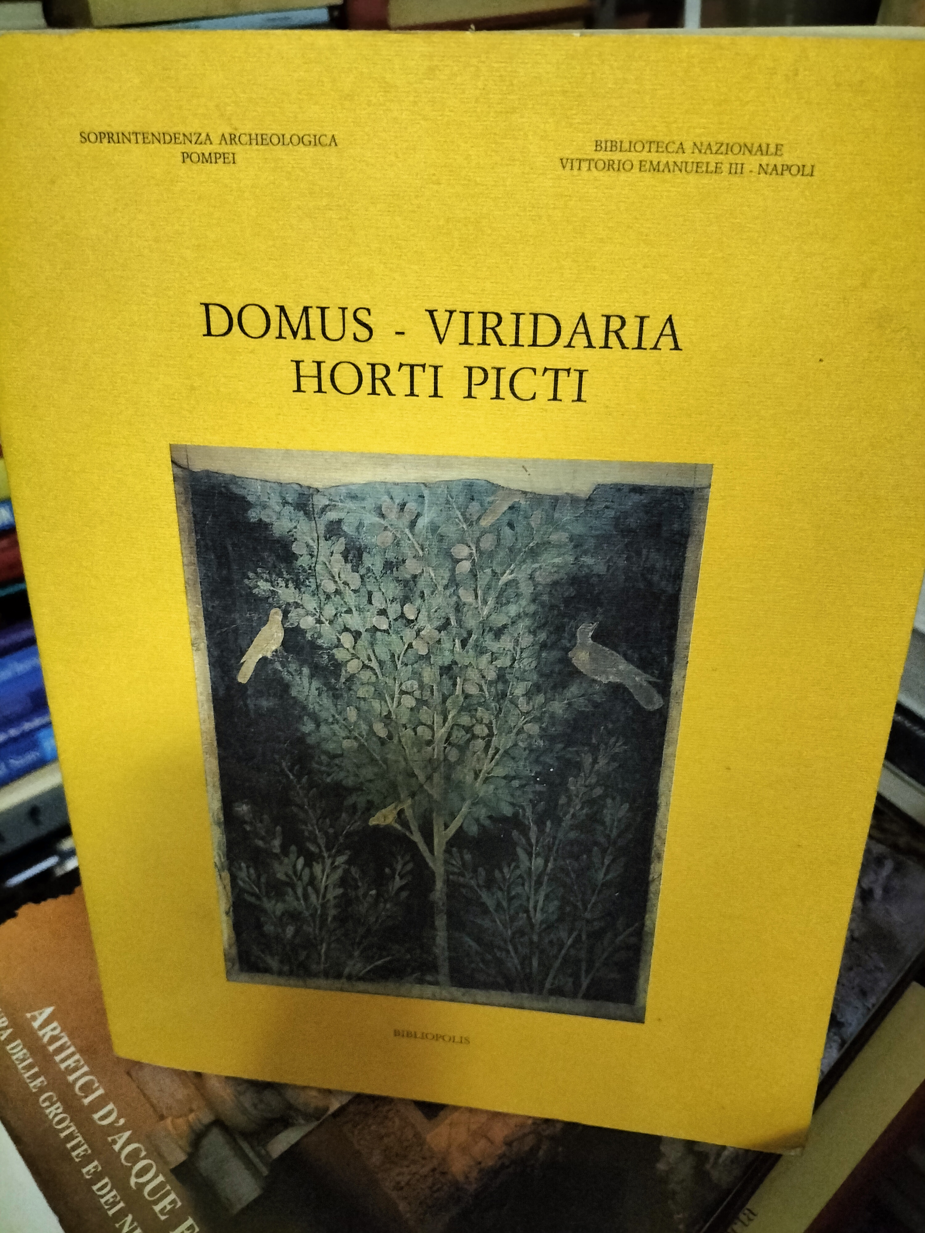 Domus Viridaria Horti Picti