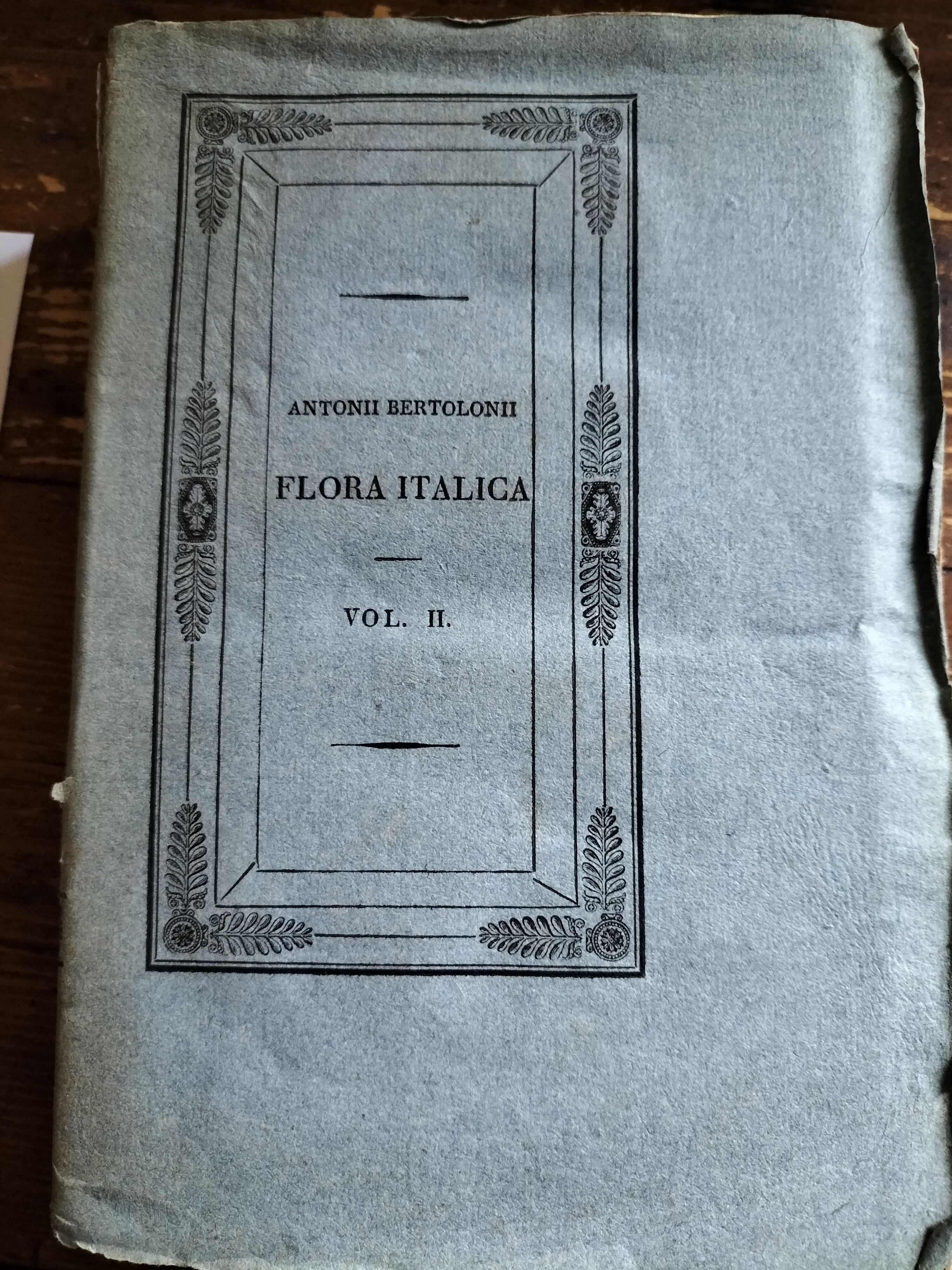 Flora Italica Volume II