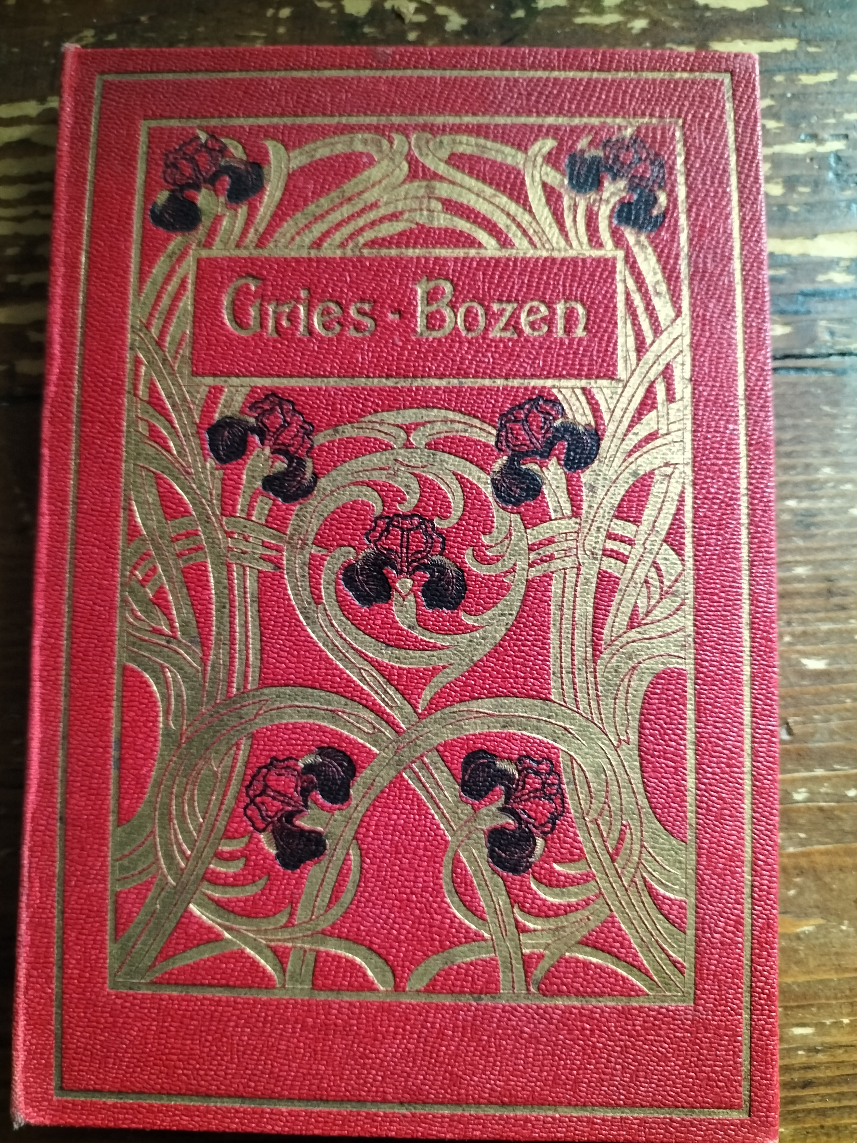 GRIES BOZEN 1897 STENGEL & CO. Dresden 12 cartoline Album …