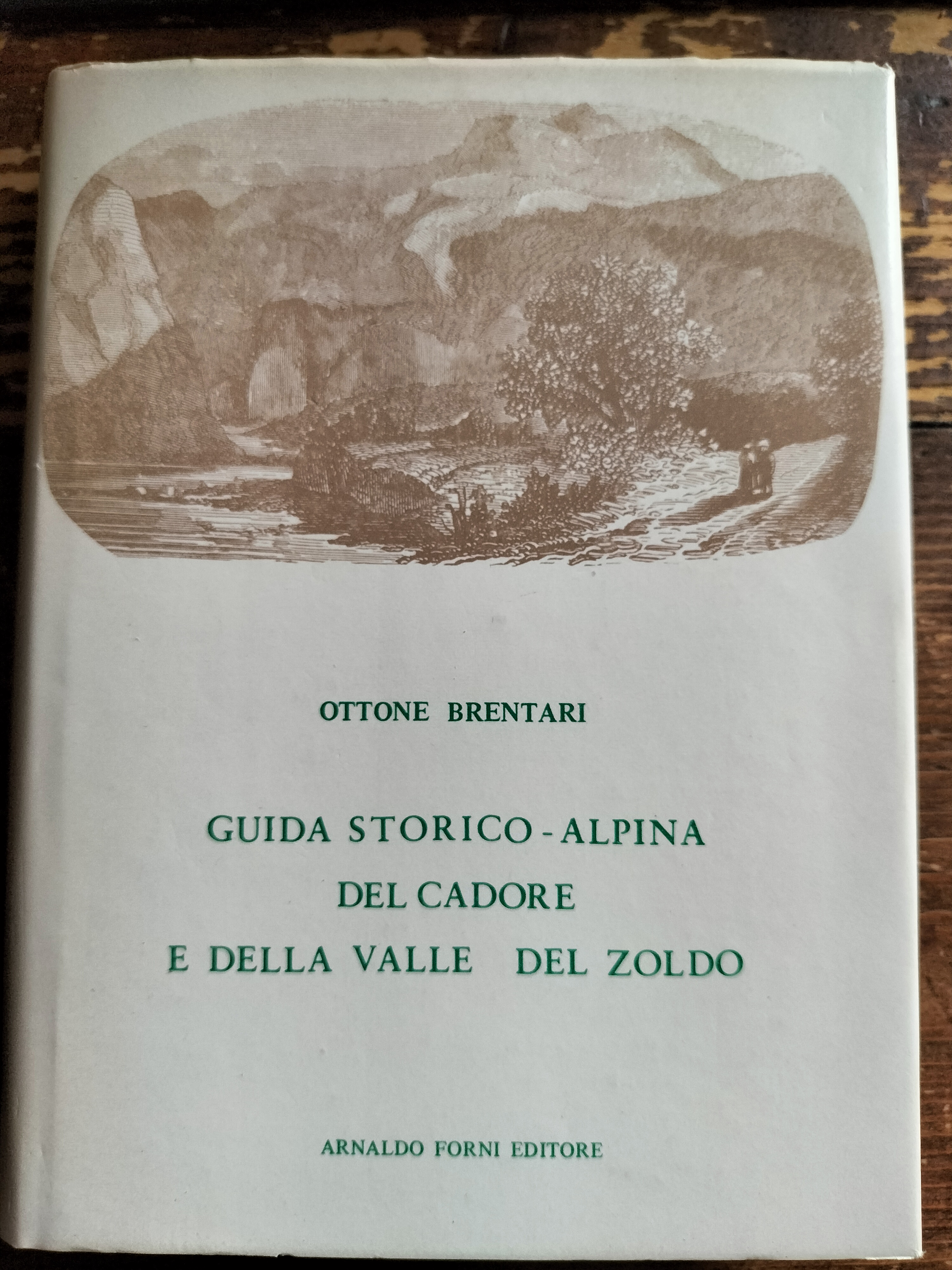Guida storico alpina del Cadore e della Valle del Zoldo …