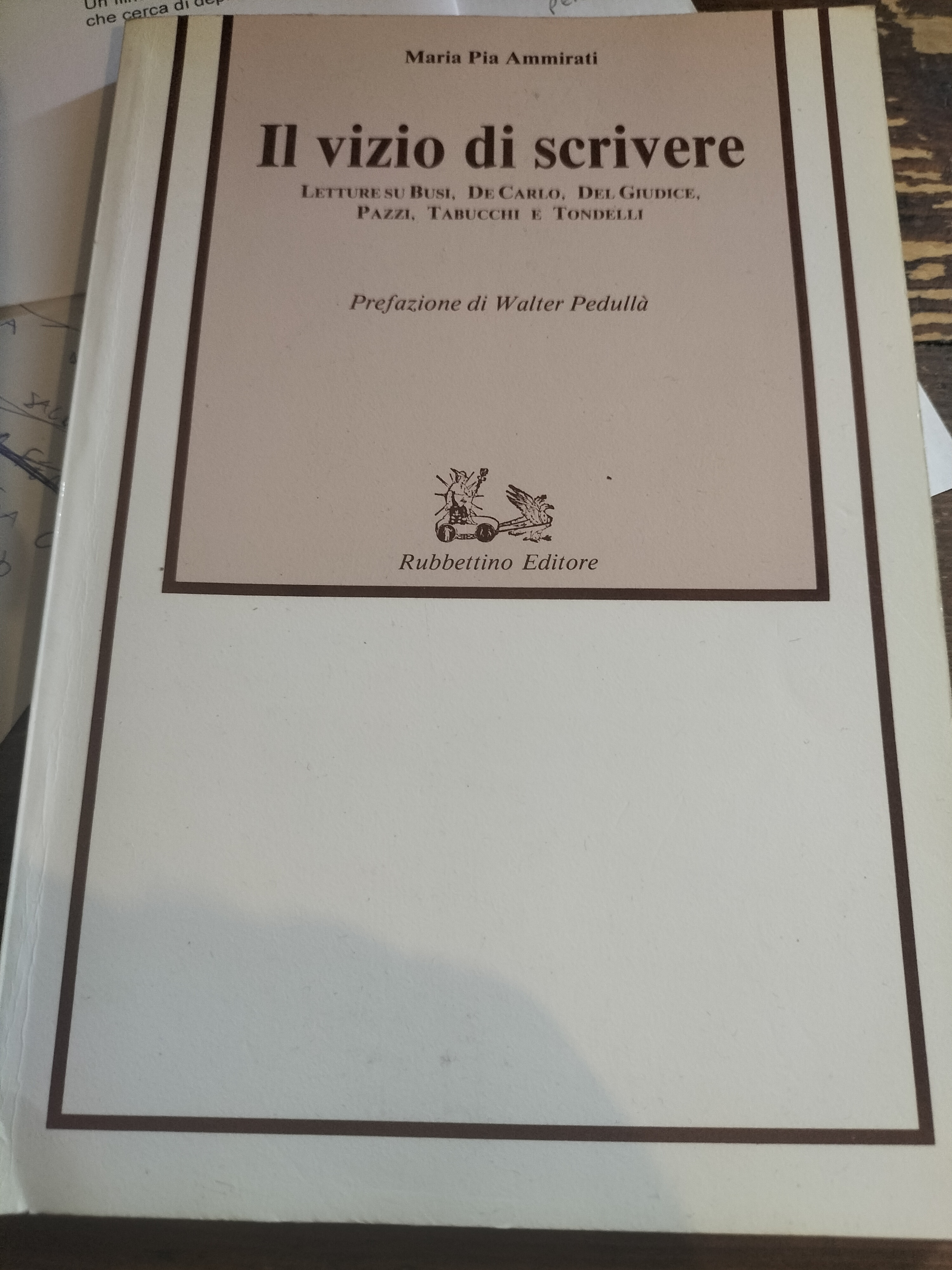 IL VIZIO DI SCRIVERE Maria P. Ammirati RUBBETTINO EDITORE Busi …