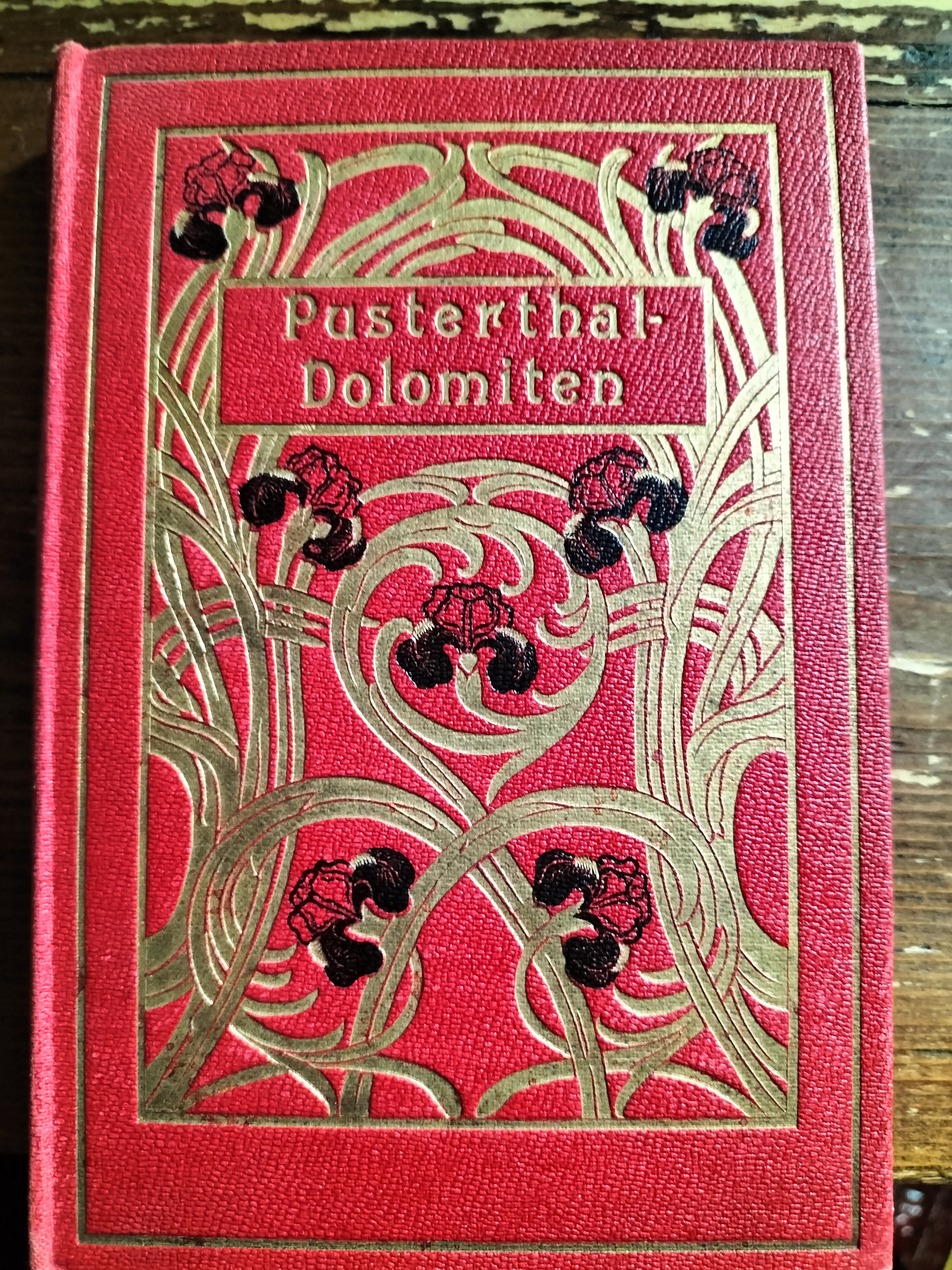 PUSTERTHAL DOLOMITEN 1897 STENGEL & CO. Dresden 12 cartoline Album …