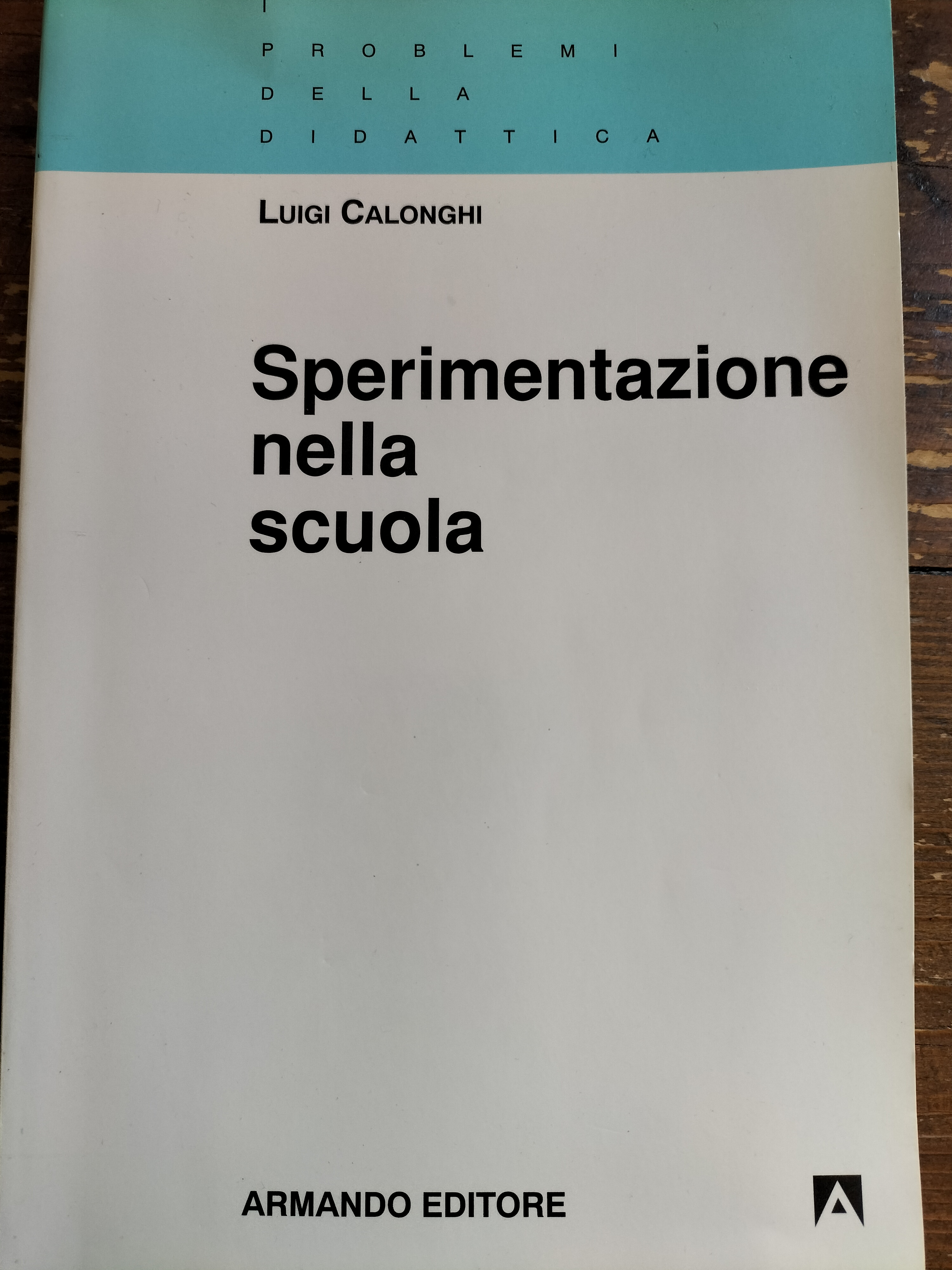 Sperimentazione nella scuola