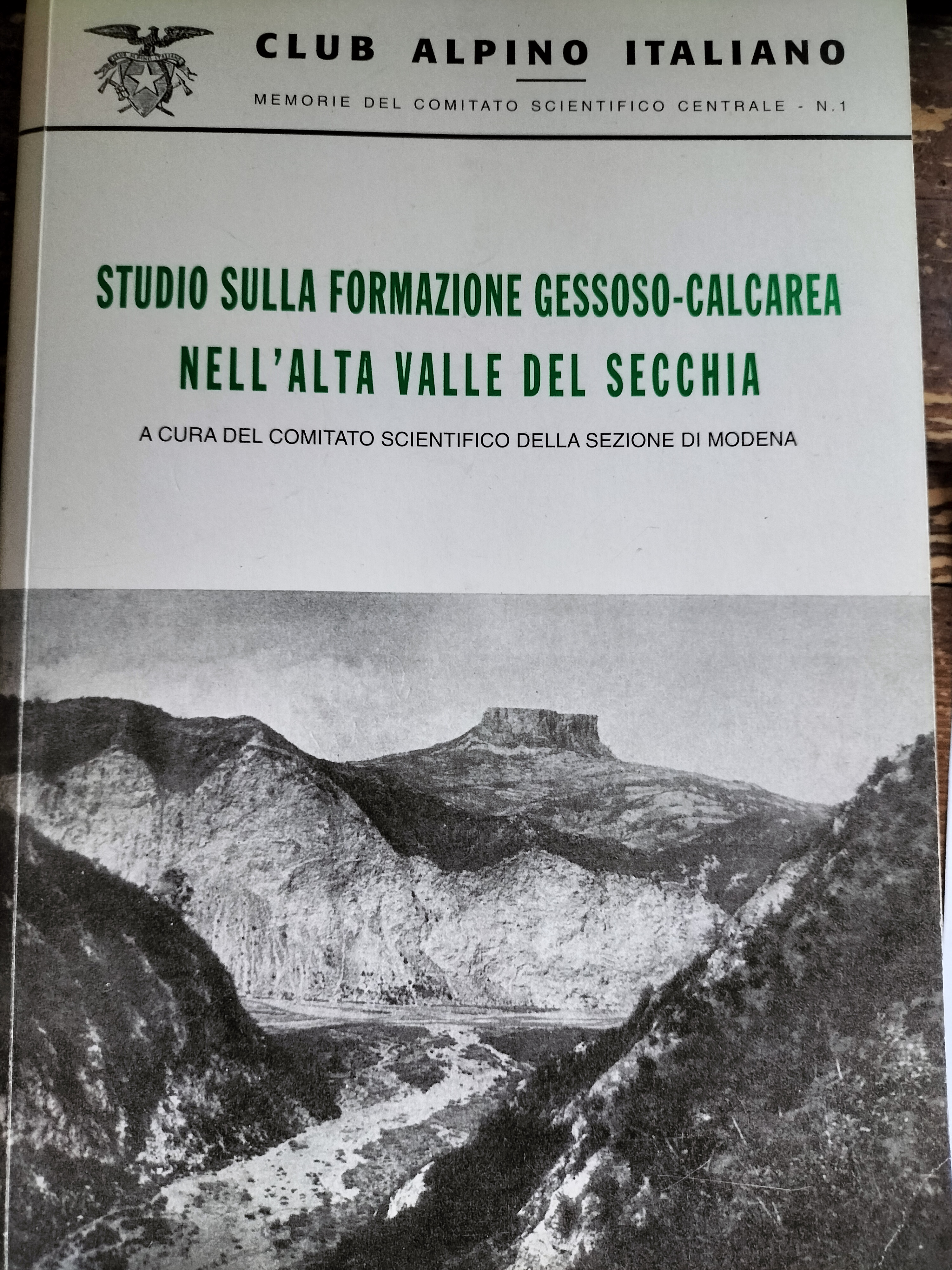 STUDIO SULLA FORMAZIONE GESSOSO CALCAREA NELL'ALTA VALLE DEL SECCHIA CAI