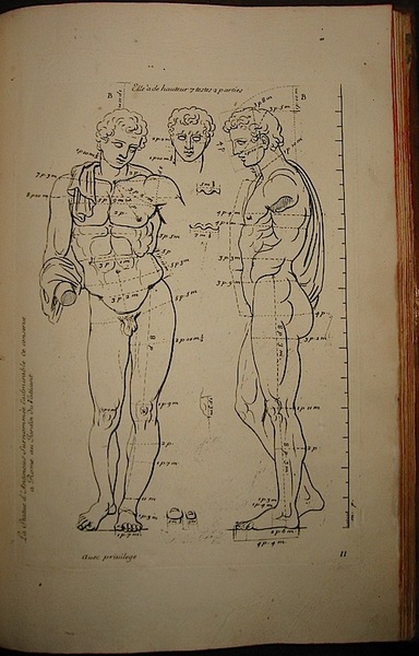 Les proportions du corps humain. Mesurées sur les plus belles …