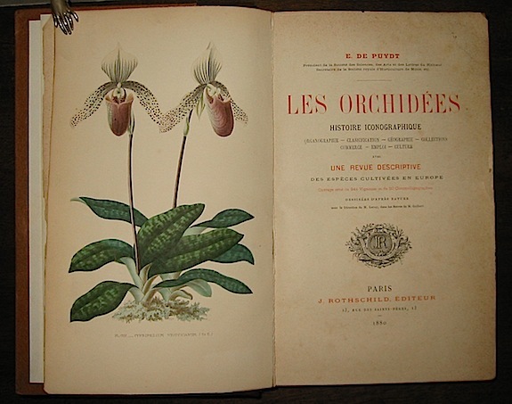 Les Orchidées. Histoire iconographique. Organographie, classification, geographie, collections, commerce, emploi, …