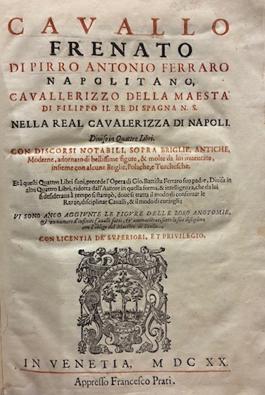 Cavallo frenato di Pirro Antonio Ferraro napolitano, cavallerizzo della Maestà …