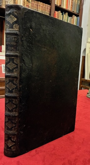 De causis et signis acutorum, et diuturnorum morborum Libri quatuor. …