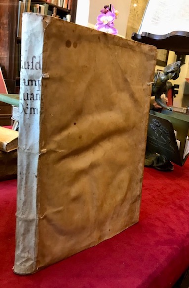Eusebii Caesariensis Evangelicae demonstrationis libri decem. Donatus Veronensis vertit