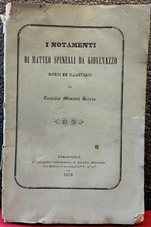 I Notamenti di Matteo Spinelli da Giovenazzo difesi ed illustrati