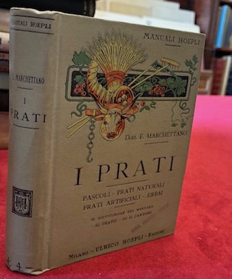 I prati. Pascoli - prati naturali - prati artificiali - …
