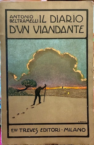 Il diario di un viandante (dal Deserto al Mar glaciale)