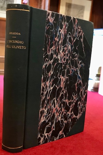 L’incendio nell’oliveto. Romanzo