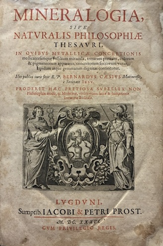 Mineralogia, sive Naturalis philosophiae thesauri, in quibus metallicae concretionis medicatorumque …