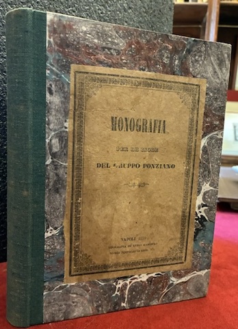 Monografia per le isole del gruppo ponziano