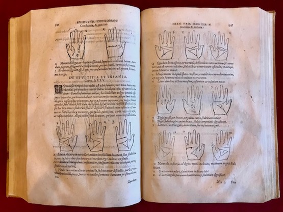 Opus mathematicum octo libros complectens, innumeris propemodum figuris idealibus manuum …