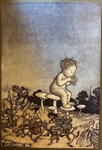 Peter Pan in Kensington Gardens by J.M. Barrie (From ‘The …