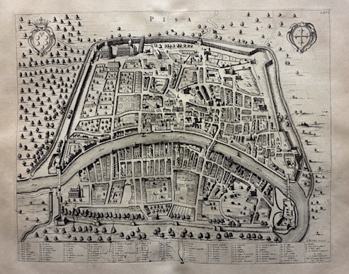 Pisa