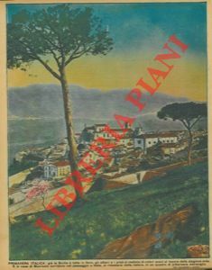 Primavera italica : già la Sicilia è tutta in fiore, …