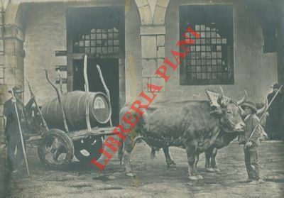 Carro con botte di porto (Sandeman)