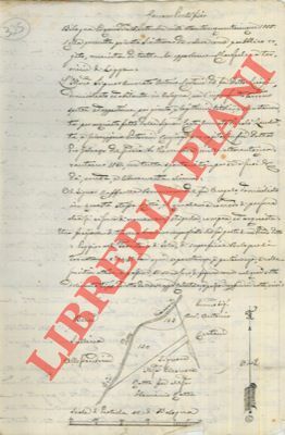 Una frazione di terreno boschivo che fa parte di un …